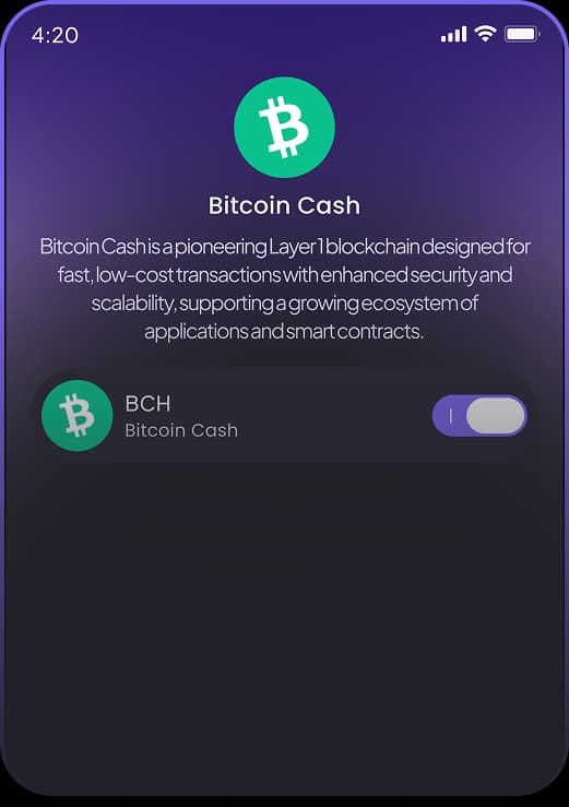 Bitcoin Cash
