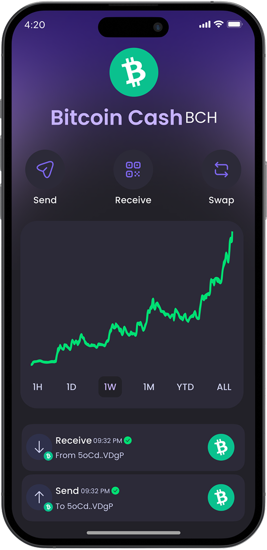 Bitcoin Cash Mockup