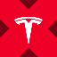Tesla xStock